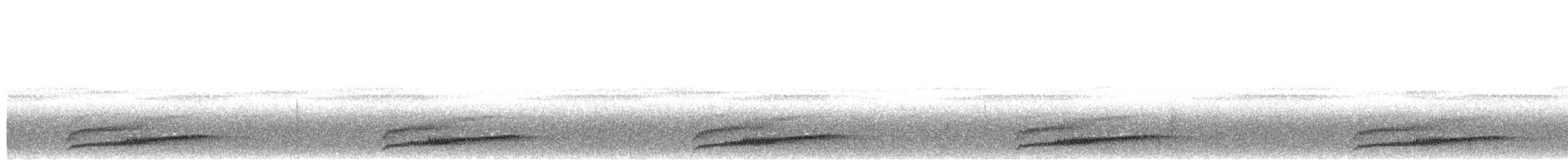 Длиннохвостый лягушкорот - ML487255211