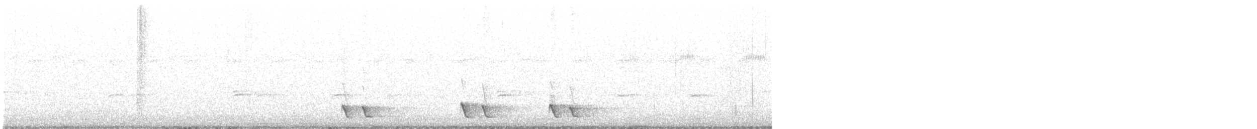 White-eared Honeyeater - ML487261061