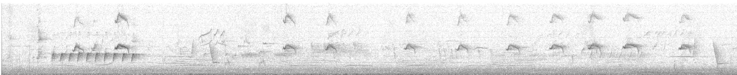 Pink-eared Duck - ML487266671