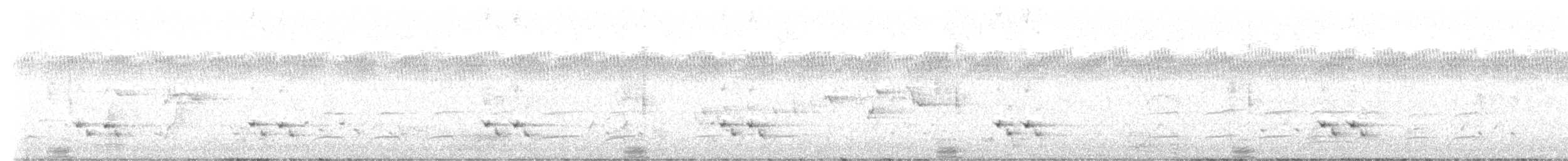 キボシホウセキドリ（substriatus） - ML487272061
