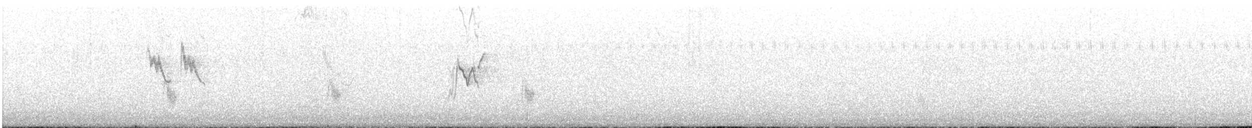 White Wagtail (Chinese) - ML487283041