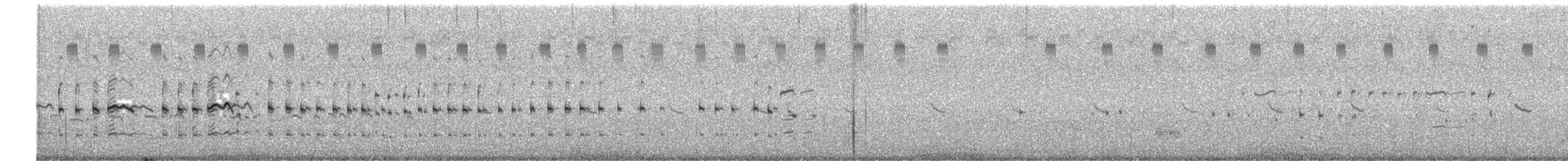 Chorlitejo Culirrojo - ML487286191