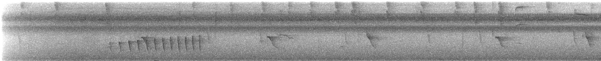 Chocó-Strichelameisenschlüpfer - ML487343691
