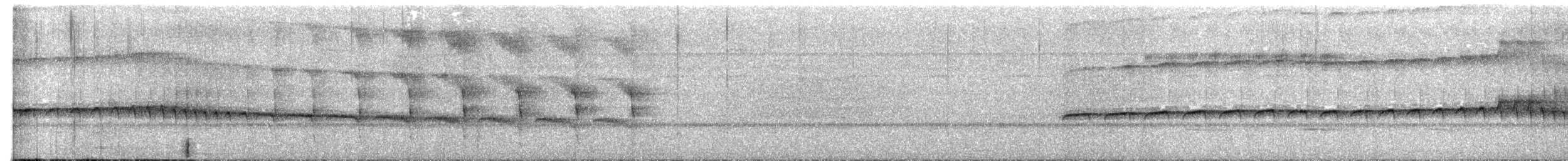 Глазчатая гологлазка - ML487371231