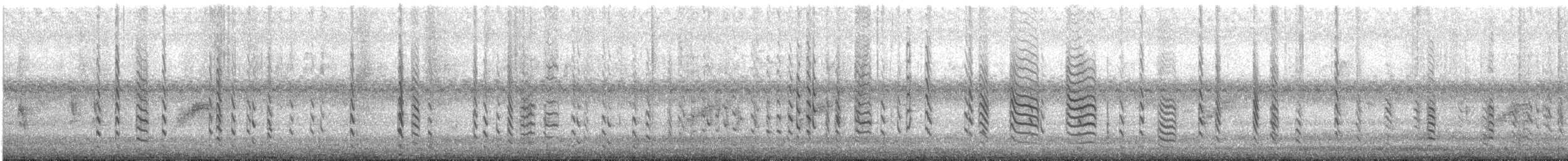 Канадский поползень - ML487389501
