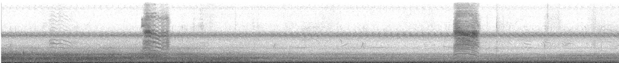 Пересмішник сірий - ML487389571
