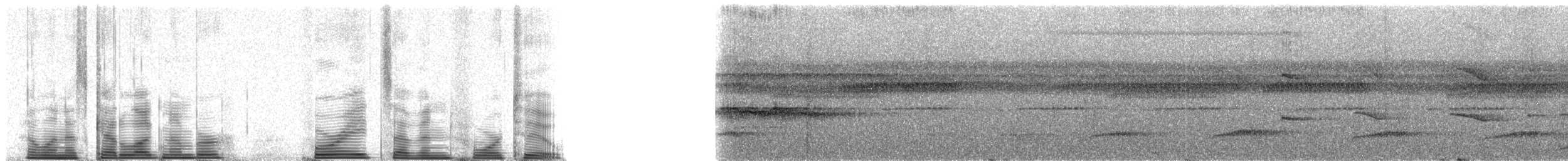 Cinereous Mourner - ML48742