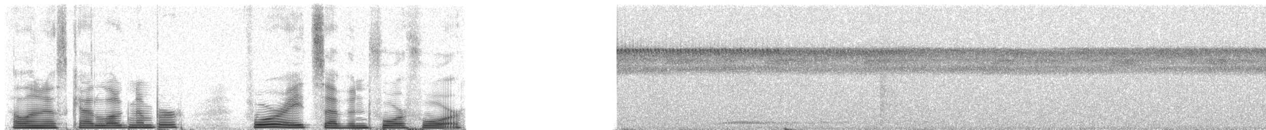 Wing-banded Wren - ML48744