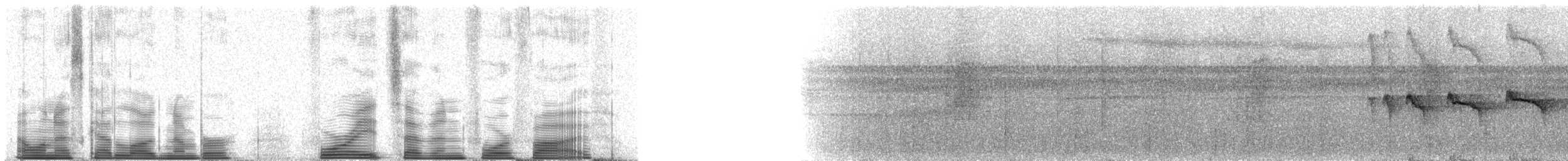 Black-throated Antbird - ML48745