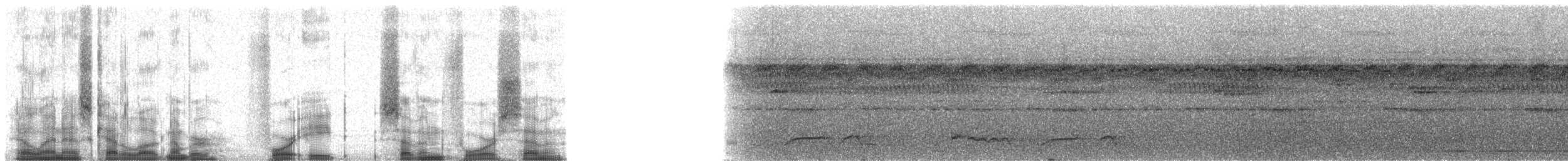 Лінивка рудоголова - ML48747