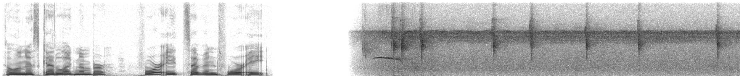 Spot-winged Antbird - ML48748