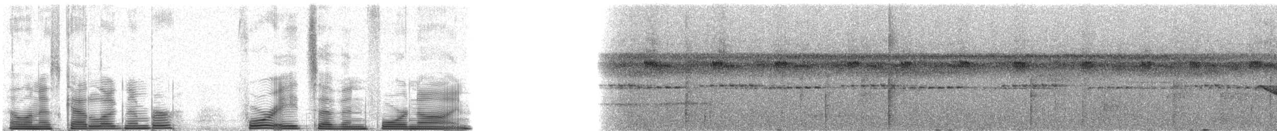 Ringed Antpipit - ML48749