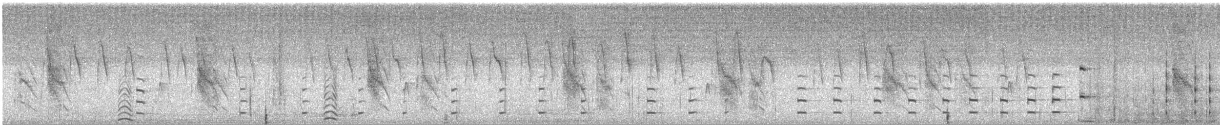 Purple Gallinule - ML487494331