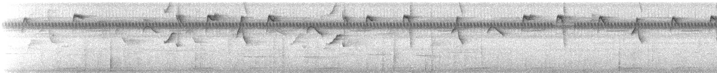 Пестрогорлый колибри-отшельник - ML487497111