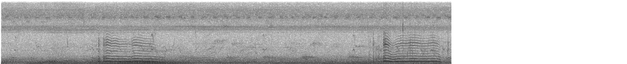 Common Gallinule - ML487499811