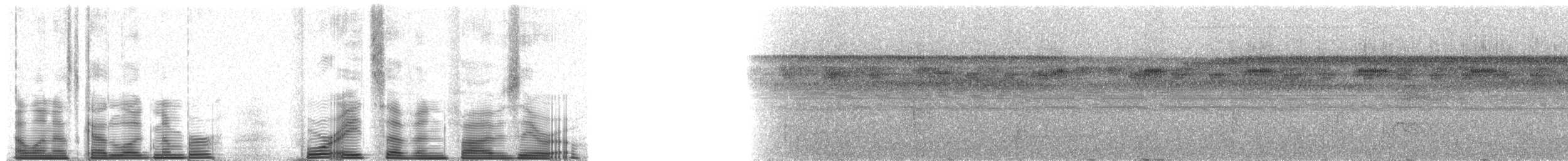 Short-billed Leaftosser - ML48750