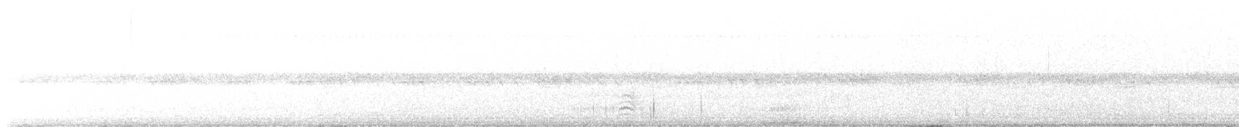 Weißbrustkleiber - ML487506331
