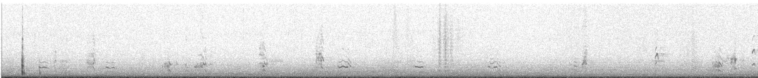 Double-crested Cormorant - ML487510711