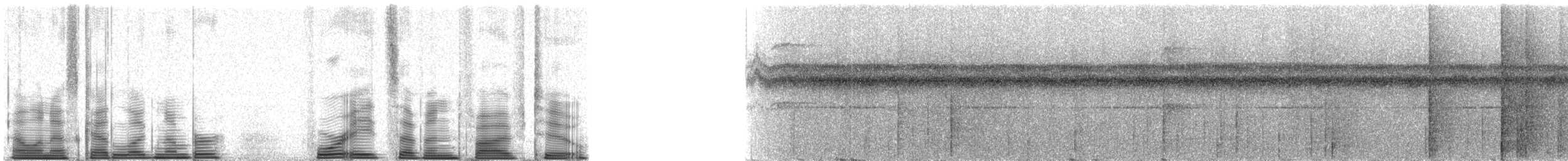 Black-bearded Saki - ML48752