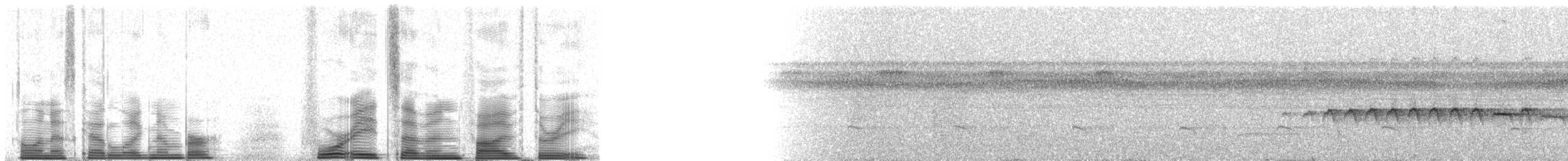 Ferruginous-backed Antbird - ML48753