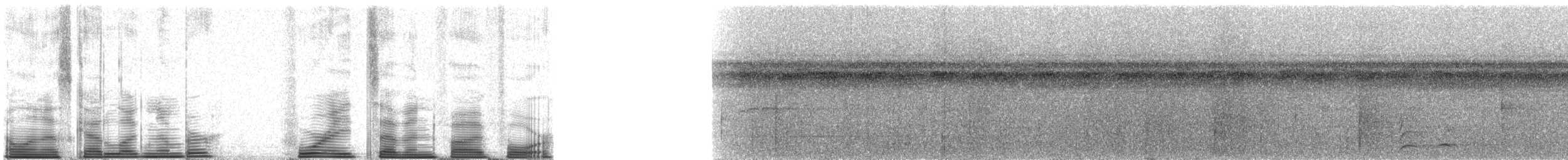 Brown Capuchin - ML48754