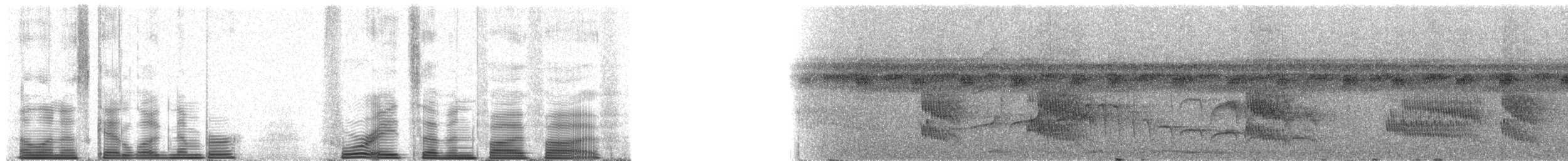 Rufous-throated Antbird - ML48755