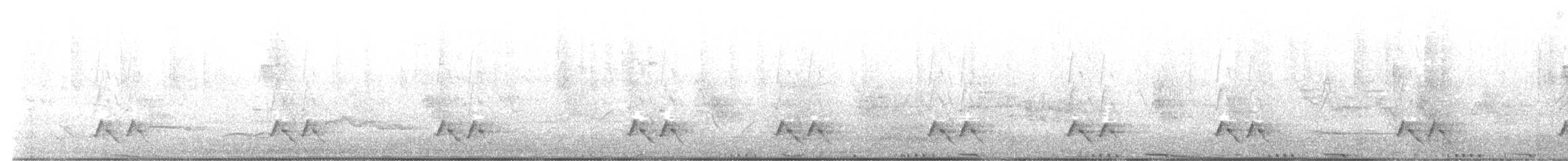 キボシホウセキドリ（substriatus） - ML487558701