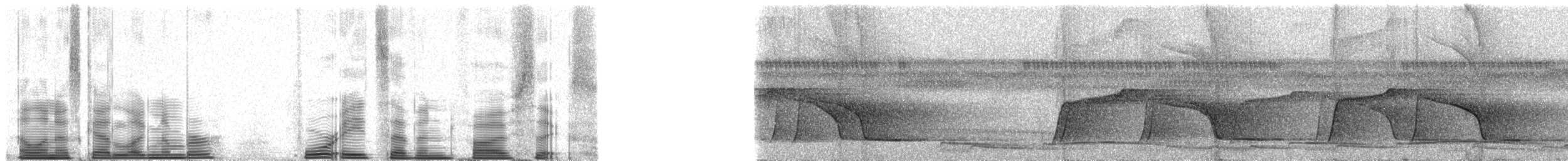 Screaming Piha - ML48756