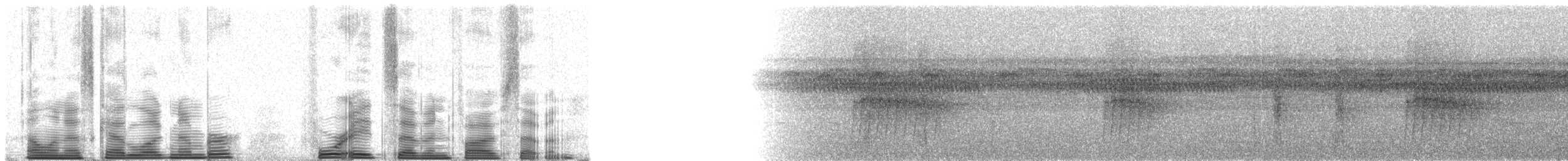 Ferruginous-backed Antbird - ML48757