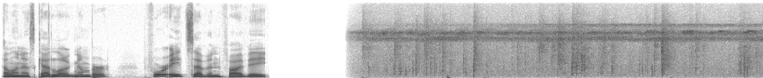 Black-bearded Saki - ML48758