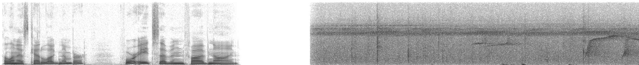 Forest Elaenia - ML48759