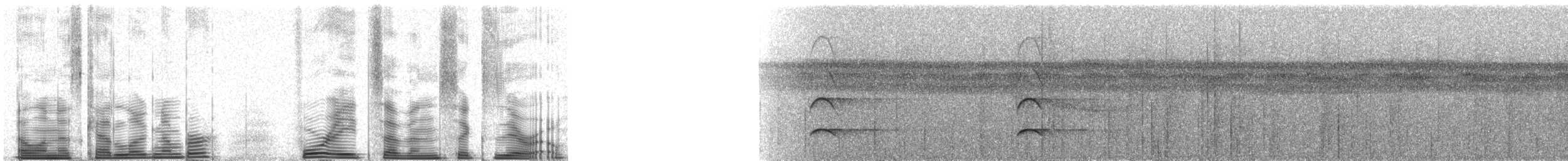 Ornate Hawk-Eagle - ML48760