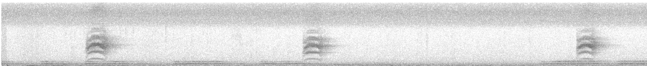 Kestane Sırtlı Karıncakuşu - ML487603241