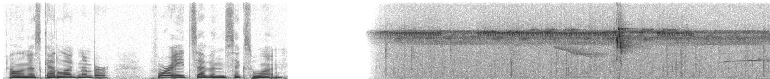 Short-billed Leaftosser - ML48761