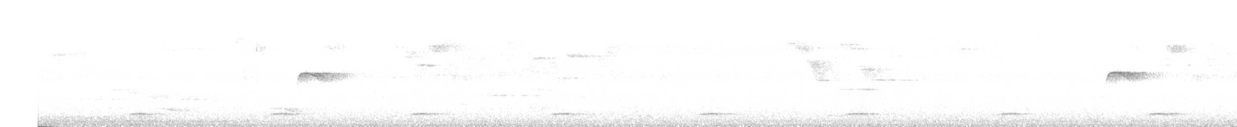 セアカウズラバト - ML487619421