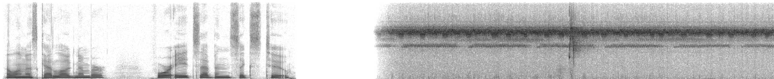 Short-billed Leaftosser - ML48762