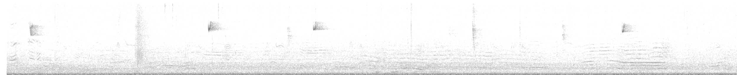 Batı Amerika Sinekkapanı [difficilis grubu] - ML487636491