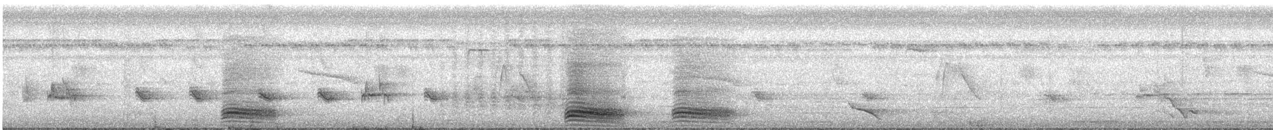 tykknebbkråke (culminatus) (indiakråke) - ML487659251