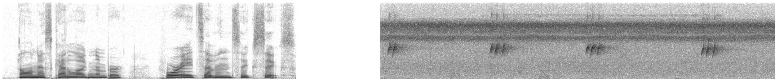 Short-tailed Pygmy-Tyrant - ML48766