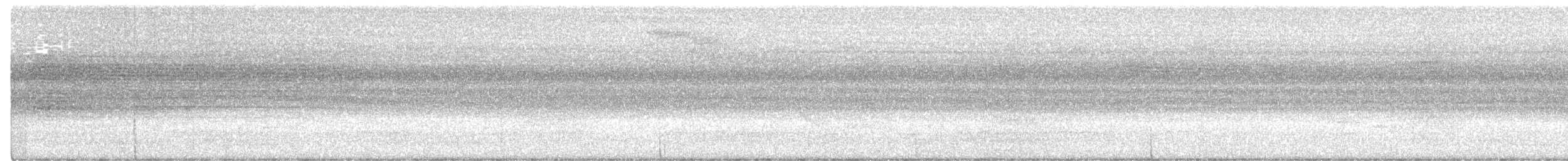 Tororoí de Anteojos (perspicillatus) - ML487685481