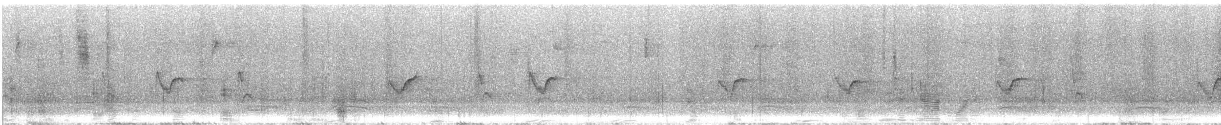 Hutton's Vireo - ML487731851