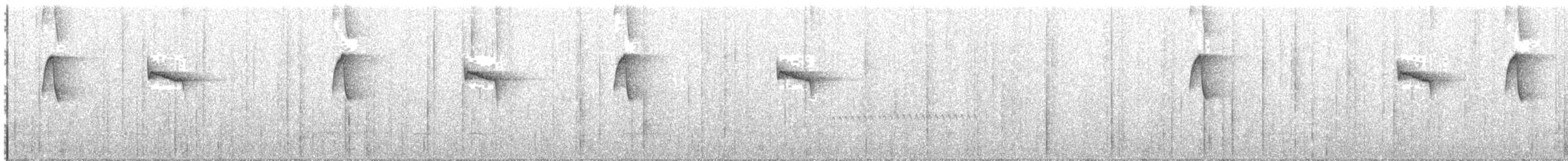 Чешуегорлый колибри-отшельник - ML487734501