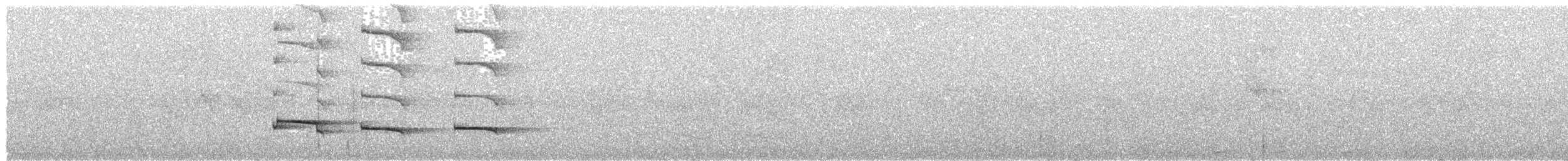 White-browed Woodpecker - ML487735331