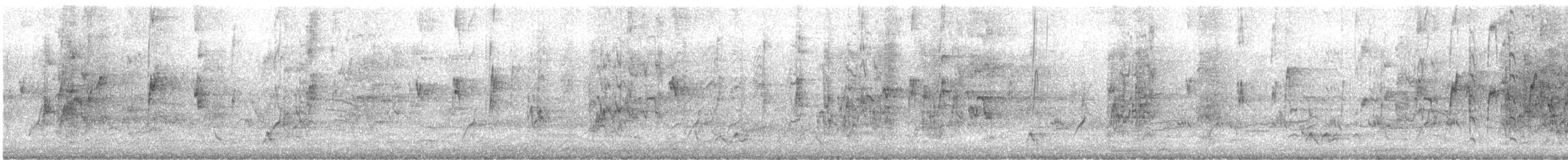 Schwarzgesichtsittich - ML487749781