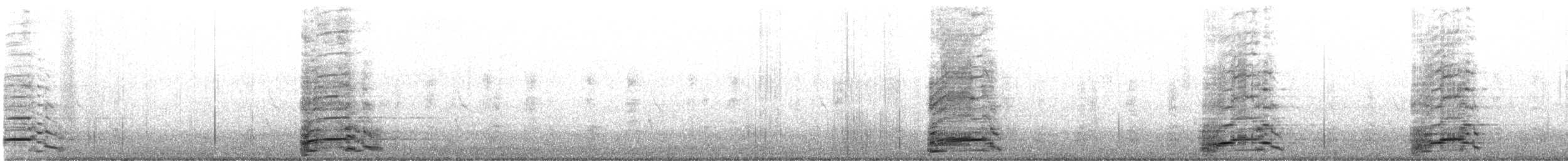 אווז ברבורי (מבוית) - ML487751891