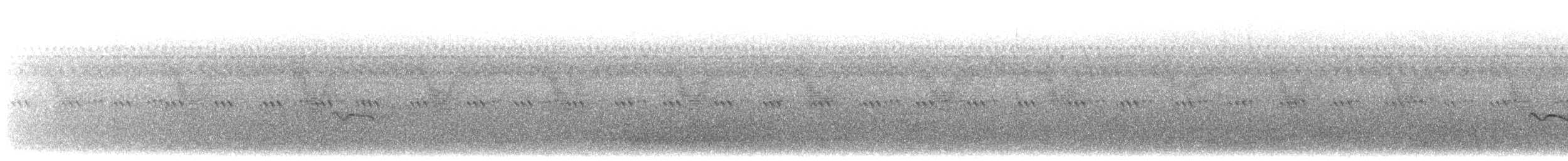 kulík hnědokřídlý - ML487764471