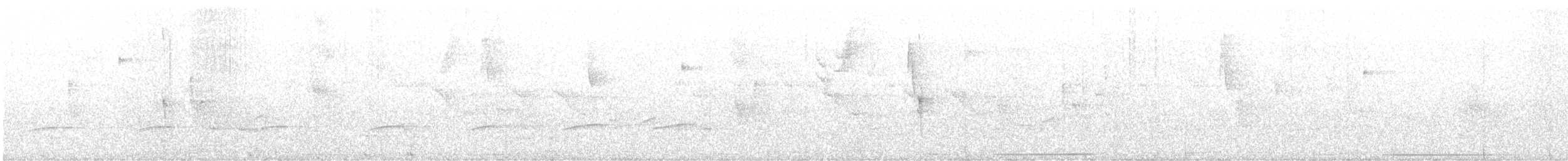 Сероголовый аттила - ML487816241