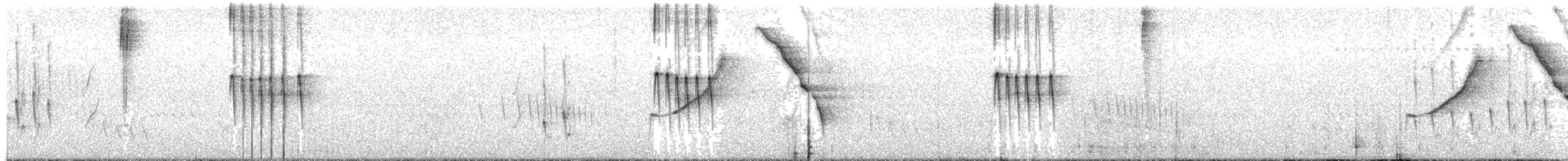 hvitissetyrannulett (subcristata/straminea) - ML487864361