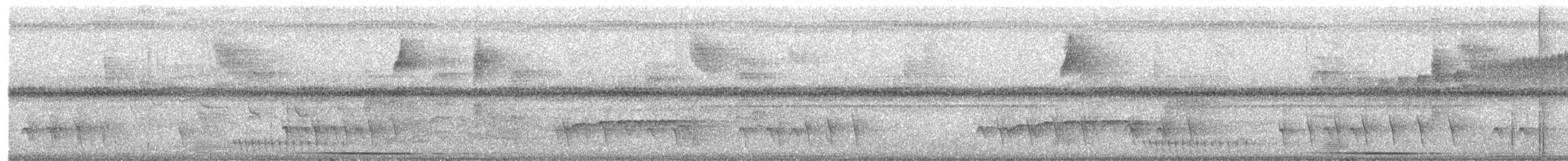 holub šedočelý - ML487876041