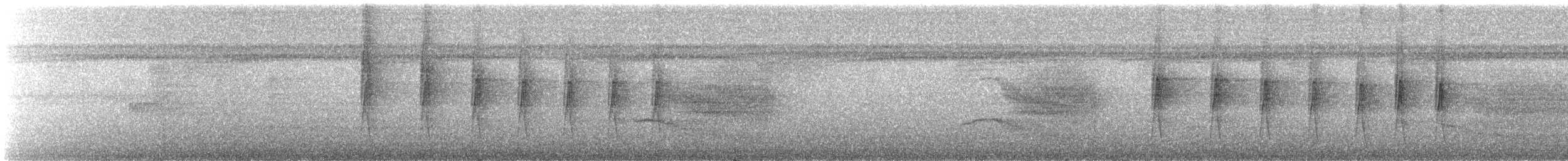 Мурав’янка-куцохвіст плямиста - ML487903141